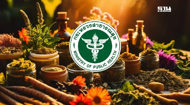 สธ. แจงปมหนุน รพ.ใช้สมุนไพรทดแทนยาแผนปัจจุบัน ยันตามความสมัครใจ