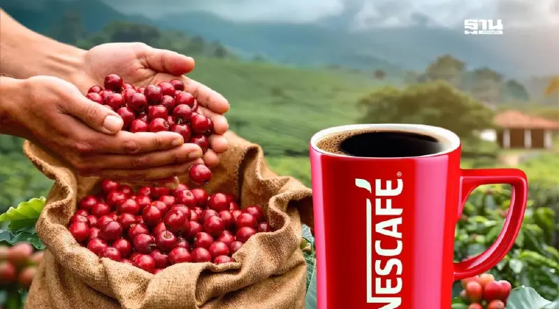 วิกฤต "เนสกาแฟ" สะเทือนเกษตรกร ชาวสวนกาแฟหวั่นพิพาท "เนสท์เล่-มหากิจศิริ"