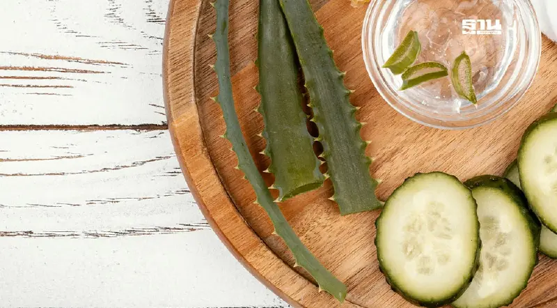 5 สมุนไพรช่วยบำรุงผิวพรรณ หลังสาดน้ำเทศกาลวันสงกรานต์