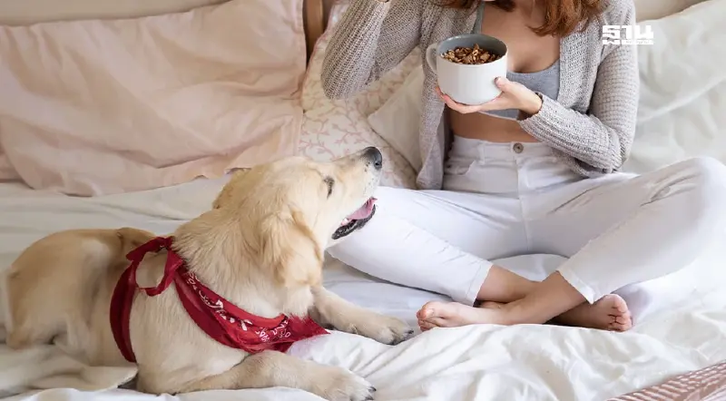 ส่องเทรนด์ "เลี้ยงสัตว์ 2025" เทคโนโลยีช่วยดูแล-อาหารสุขภาพมาแรง