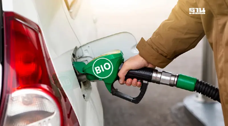 องค์กรปาล์มจี้รัฐ ปรับสูตรไบโอดีเซล B5 เป็น B7 แก้ปัญหาราคาตกต่ำ องค์กรปาล์มจี้รัฐ ปรับสูตรไบโอดีเซล B5 เป็น B7 แก้ปัญหาราคาตกต่ำ