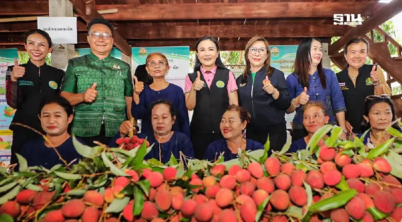 “นฤมล”ปลื้มความสำเร็จแปลงใหญ่ลิ้นจี่นครพนม สร้างรายได้เกษตรกร