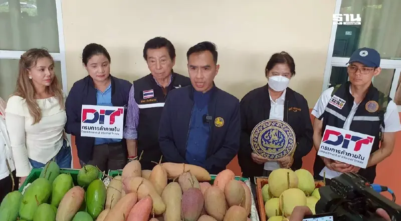 เร่งระบายมะม่วงแฟนซี เชียงใหม่–ลำพูน ดัน 100 ตันลงโมบายธงฟ้า ขายกทม. เร่งระบายมะม่วงแฟนซี เชียงใหม่–ลำพูน ดัน 100 ตันลงโมบายธงฟ้า ขายกทม.