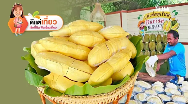 เปิดพิกัด"บุฟเฟ่ต์ทุเรียน 2568" ทั่วไทย กินไม่อั้นหนึ่งปีมีครั้งเดียว เปิดพิกัด"บุฟเฟ่ต์ทุเรียน 2568" ทั่วไทย กินไม่อั้นหนึ่งปีมีครั้งเดียว