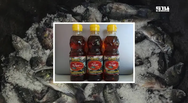 น้ำปลา “ปลาหมอคางดำ” รสชาติใหม่ หอม อร่อย เต็มไปด้วยคุณค่า น้ำปลา “ปลาหมอคางดำ” รสชาติใหม่ หอม อร่อย เต็มไปด้วยคุณค่า