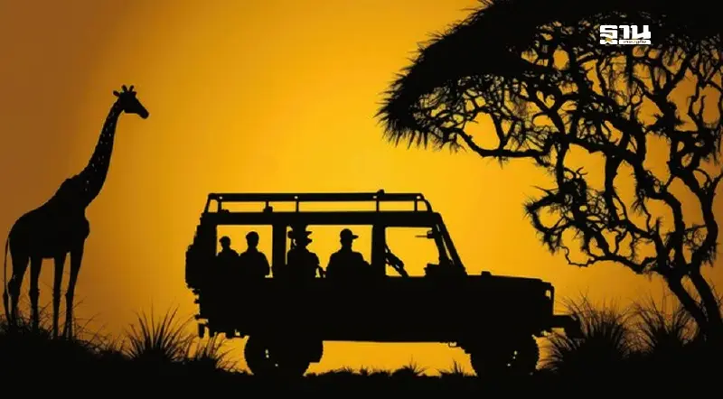 ครม. ตั้ง “องค์การบริหารไนท์ซาฟารี” เป็นองค์การมหาชนแห่งใหม่ ครม. ตั้ง “องค์การบริหารไนท์ซาฟารี” เป็นองค์การมหาชนแห่งใหม่