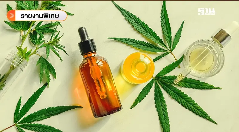 เปิดร่างประกาศคุม 'กัญชา' ใหม่ สธ.รับฟังความเห็นถึง 5 มิ.ย.68 เปิดร่างประกาศคุม 'กัญชา' ใหม่ สธ.รับฟังความเห็นถึง 5 มิ.ย.68