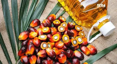 พลังงาน-กระทรวงอุตฯแก้ปัญหาราคาน้ำมันปาล์มตกต่ำช่วยเกษตรกร