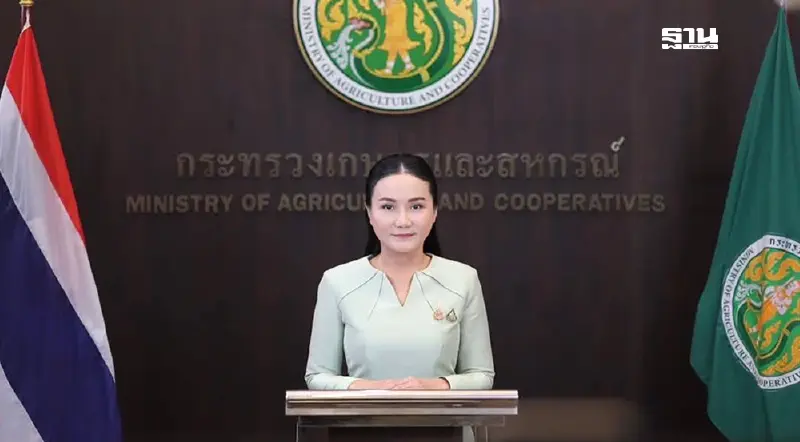 "นฤมล" ชี้ราคายางพาราดีดตัว ใกล้แตะระดับก่อนทรัมป์ประกาศมาตรการภาษี "นฤมล" ชี้ราคายางพาราดีดตัว ใกล้แตะระดับก่อนทรัมป์ประกาศมาตรการภาษี