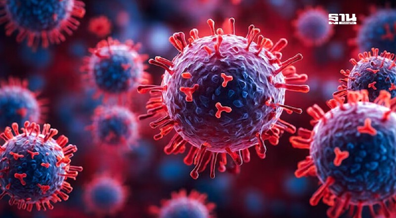 .อัปเดตอาการโควิด 2568 สายพันธุ์ XEC อันตรายแค่ไหน วิธีรับมือ.