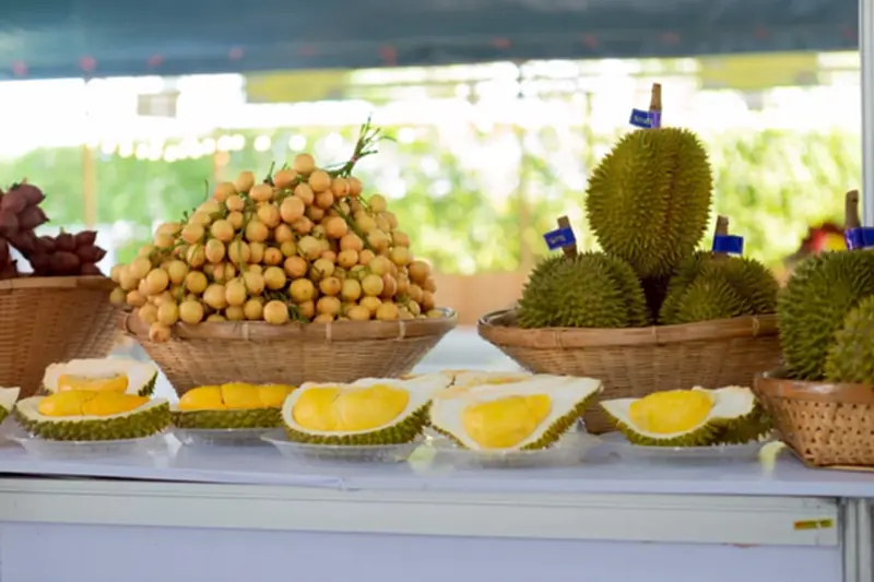 แข่งกินทุเรียน-ผลไม้ จันทบุรีจัดใหญ่ งานสรวงสวรรค์แห่งผลไม้เมืองร้อน 2568 แข่งกินทุเรียน-ผลไม้ จันทบุรีจัดใหญ่ งานสรวงสวรรค์แห่งผลไม้เมืองร้อน 2568