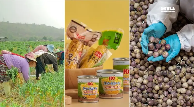 อากาศแปรปรวน ผลผลิตสินค้าเกษตรลด แนะเร่งปรับตัว หวั่นกระทบตลาดใน-ต่างประเทศ