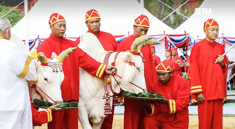 วันพืชมงคล 9 พ.ค.68 ข้าราชการ ธนาคาร ใครได้หยุดบ้าง เช็กที่นี่