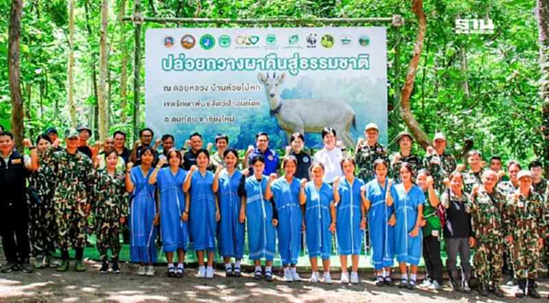 ซีพีผนึกภาครัฐ-ชุมชนปล่อย "กวางผา" สัตว์ป่าสงวนคืนสู่ธรรมชาติ ซีพีผนึกภาครัฐ-ชุมชนปล่อย "กวางผา" สัตว์ป่าสงวนคืนสู่ธรรมชาติ