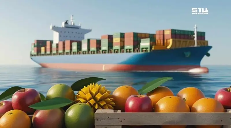 ทำใจ! ผลไม้ สินค้าเกษตร ราคาวูบ ฝนถล่มหนักกระทบคุณภาพส่งออก