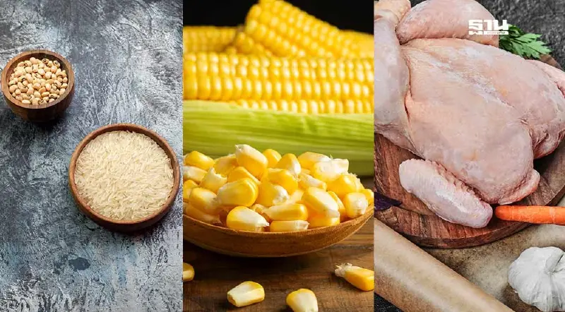 "ข้าว-ถั่วเหลือง” ราคาร่วง ข้าวโพด-ปลาป่นทรงตัว ไก่เนื้อปรับขึ้น สุกรยืนอ่อน