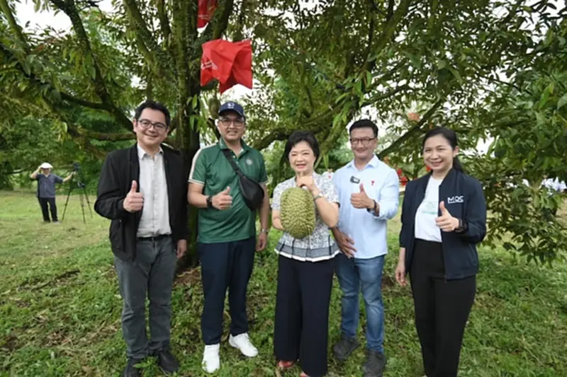 พาณิชย์ ดัน ทุเรียนสู่ตลาดโลก ยกระดับ–ขยายตลาด รับมือคู่แข่งภูมิภาค พาณิชย์ ดัน ทุเรียนสู่ตลาดโลก ยกระดับ–ขยายตลาด รับมือคู่แข่งภูมิภาค