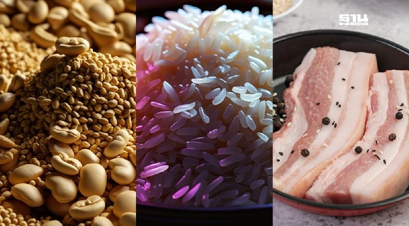 จับตาราคาสินค้าเกษตร ข้าวโพดพุ่ง- 5 รายการทรงตัว สัปดาห์หน้าเป็นอย่างไร?