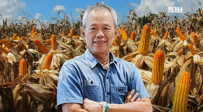 สมาคมผู้ผลิตอาหารสัตว์ไทยแจง หยุดรับซื้อข้าวโพด ช่วงนอกฤดูเป็นปกติ สมาคมผู้ผลิตอาหารสัตว์ไทยแจง หยุดรับซื้อข้าวโพด ช่วงนอกฤดูเป็นปกติ