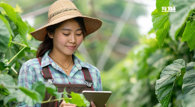 10 ล้าน แรงงานเกษตร เฮ จ่อเข้าประกัน มาตรา33 นายจ้างค้านอ้างเพิ่มต้นทุน