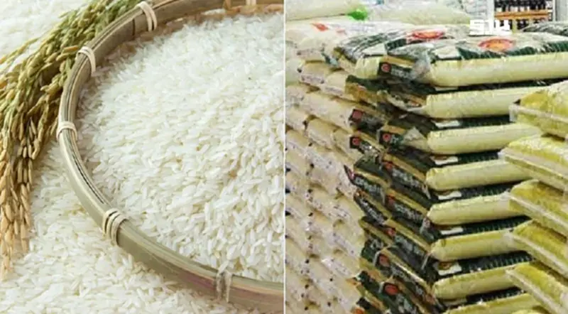 เปิดโผตลาดข้าวไทย 5 เดือนแรก สหรัฐเบอร์ 1 ข้าวขาววูบหนัก-หอมมะลิบวกเล็กน้อย เปิดโผตลาดข้าวไทย 5 เดือนแรก สหรัฐเบอร์ 1 ข้าวขาววูบหนัก-หอมมะลิบวกเล็กน้อย