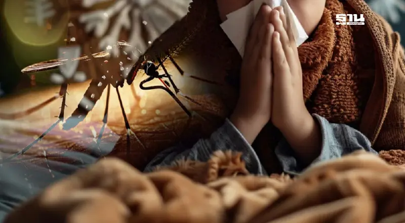ไข้เลือดออกระบาด ติดแล้ว 1.3 หมื่นราย เสียชีวิต 15 รายใน 5 เดือน
