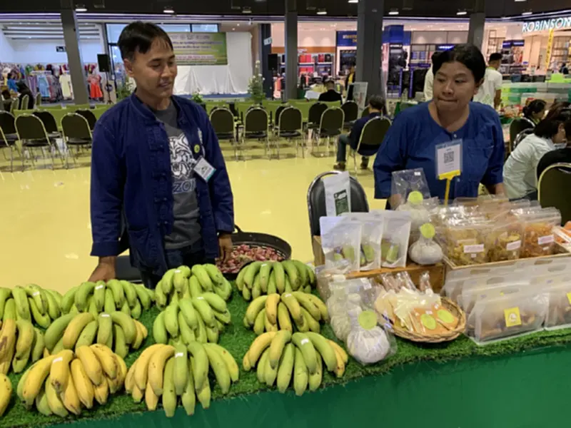 สศท.เผยสูตร ปั้นกล้วยหอม GI ชัยภูมิส่งออก โกยรายได้ 36 ล้าน สศท.เผยสูตร ปั้นกล้วยหอม GI ชัยภูมิส่งออก โกยรายได้ 36 ล้าน