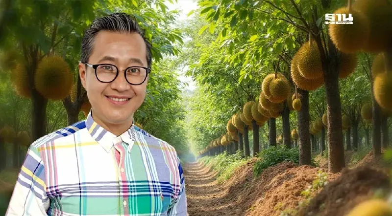 สวนทุเรียนอินทรีย์ครบวงจร : หนทางรอดทุเรียนไทยในอนาคต