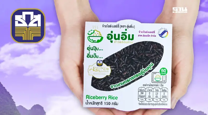 ธ.ก.ส.ดัน “ข้าวอุ่นอิ่ม” สู่โมเดลสร้างรายได้ยั่งยืนเกษตรกร ธ.ก.ส.ดัน “ข้าวอุ่นอิ่ม” สู่โมเดลสร้างรายได้ยั่งยืนเกษตรกร