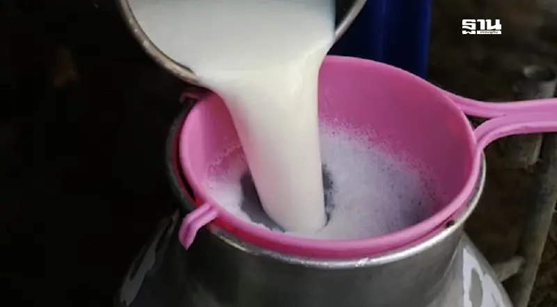 "กองทุนสงเคราะห์เกษตรกร" ไฟเขียวอนุมัติงบให้ อ.ส.ค. ชำระหนี้ 200 ล้าน ค่าน้ำนมดิบ