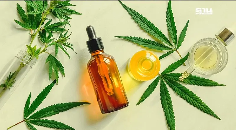 สายเขียวต้องรู้ เปิดรายละเอียดประกาศ สธ. คุม "กัญชา" ฉบับล่าสุด 