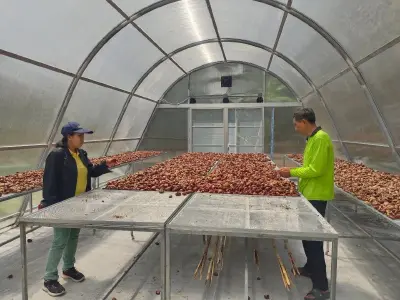 สศท.8 พลิกโฉมมังคุด! เพิ่มรายได้เกษตรกรด้วย "BCG Model"