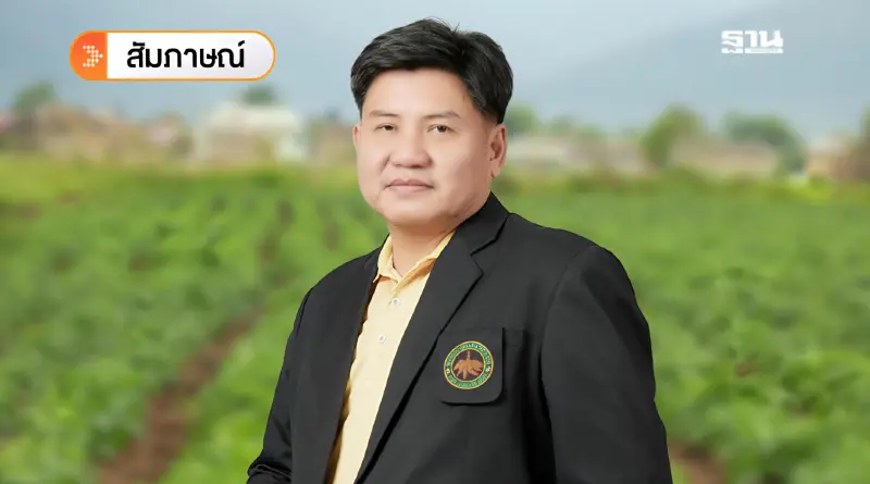 ส่งออก “มันเส้น” ฟื้นตัวรอบใหม่ “แป้งมัน” โคม่า เวียดนามเบียดตลาดจีน ส่งออก “มันเส้น” ฟื้นตัวรอบใหม่ “แป้งมัน” โคม่า เวียดนามเบียดตลาดจีน