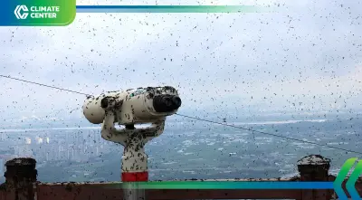 แมลง"เลิฟบั๊ก" บุกกรุงโซล โลกร้อน-พัฒนาเมืองเร่งขยายถิ่นฐาน