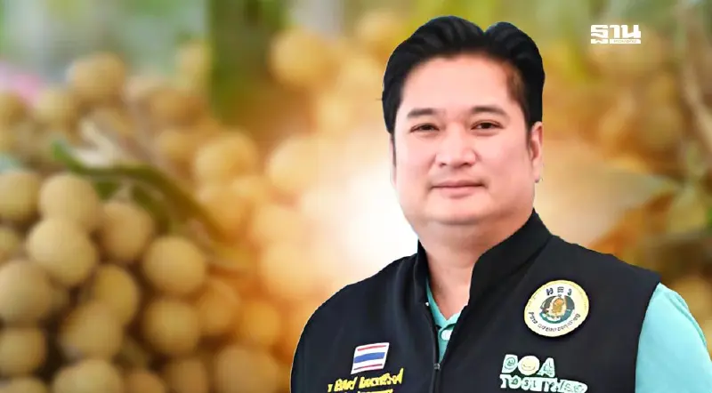 เริ่มแล้ว! กรมวิชาการเกษตร คิกออฟสินเชื่อเพื่อเก็บรักษาลำไย งบ 95 ล้าน ดันราคา