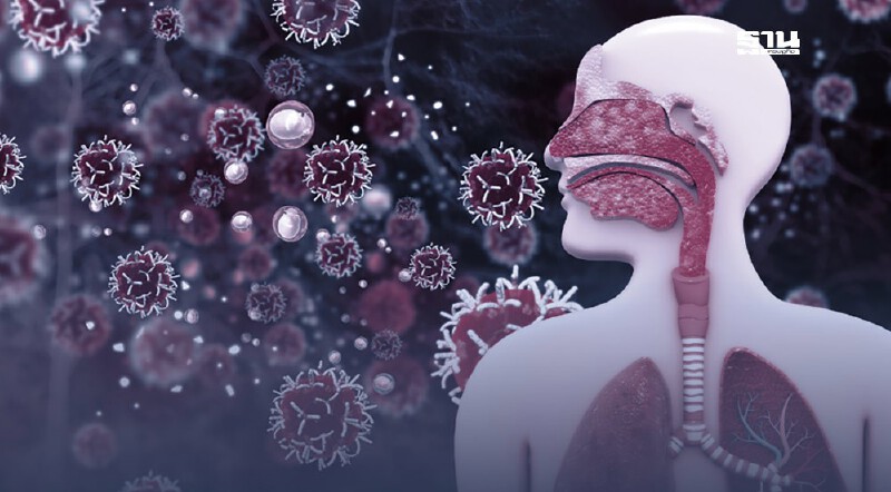 .สถาบันมะเร็งแห่งชาติ เผยปัจจัยเสี่ยงผู้หญิงไทย 