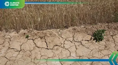 ภัยแล้งเขย่าโลกดัน 90 ล้านคน สู่ภาวะอดอยาก วิกฤตน้ำใกล้ล่มสลาย