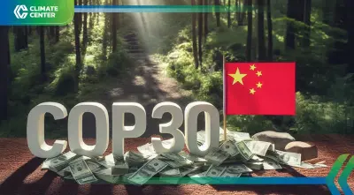 จีนวางเกมผู้นำสีเขียว ร่วมกองทุนป่าฝนบราซิล ดัน COP30