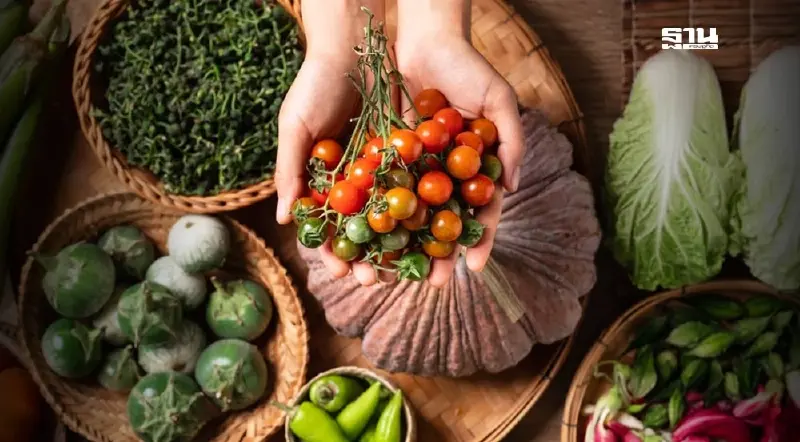 ยกระดับซอฟต์พาวเวอร์ประเทศไทย ใช้ "อาหารเป็นยา" ส่งเสริมสุขภาพ