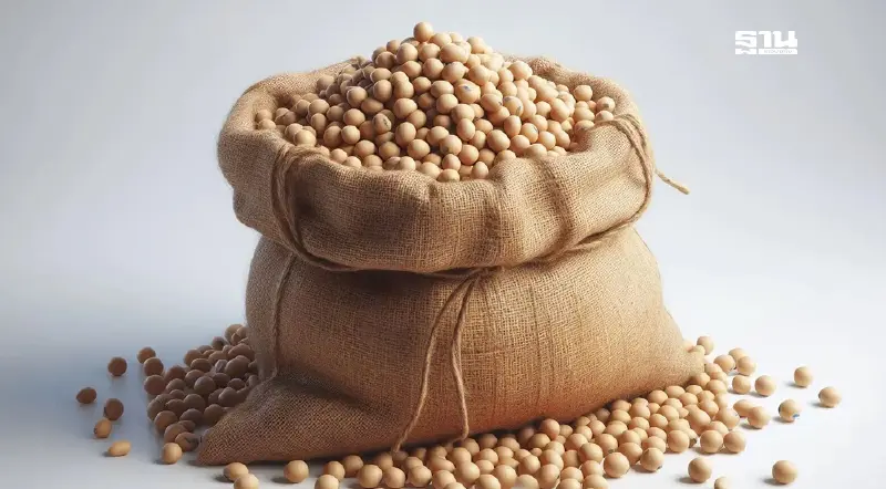 นำเข้าถั่วเหลืองสหรัฐภาษี 0%  เกษตรกร-เอกชน-ผู้บริโภค ใครเจ็บตัวมากสุด?