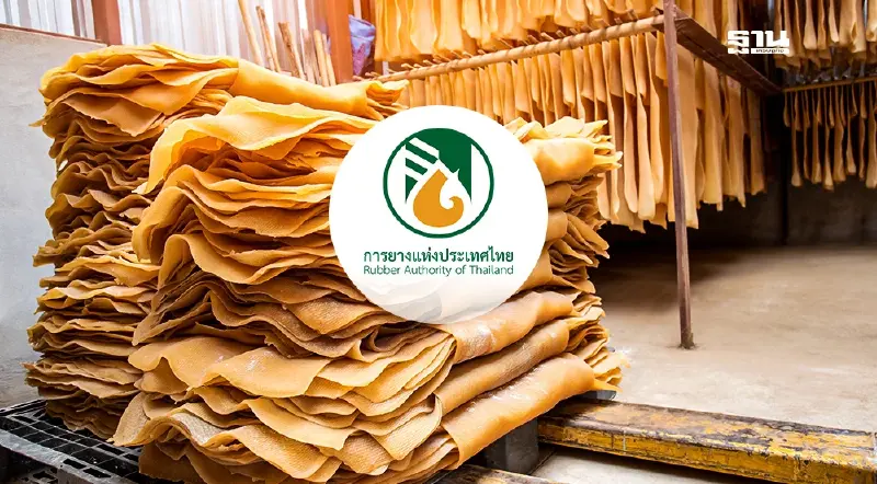 สหรัฐชะลอซื้อ กยท. ปลุกอุตยางฯ ไทย เตรียมรับแรงกระแทกภาษีทรัมป์ สหรัฐชะลอซื้อ กยท. ปลุกอุตยางฯ ไทย เตรียมรับแรงกระแทกภาษีทรัมป์