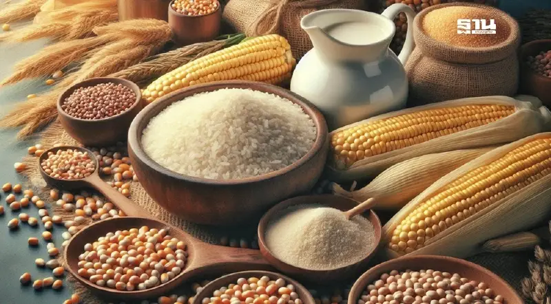 ปาล์มน้ำมัน-มันสำปะลัง เช็กราคาวันนี้กิโลละกี่บาท