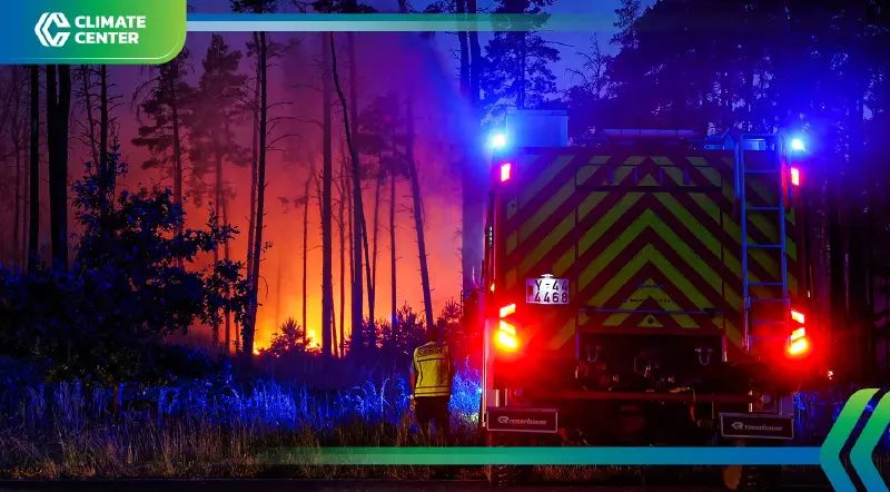 คลื่นความร้อนถล่มยุโรป ไฟป่าลามเมดิเตอร์เรเนียนหนัก คลื่นความร้อนถล่มยุโรป ไฟป่าลามเมดิเตอร์เรเนียนหนัก