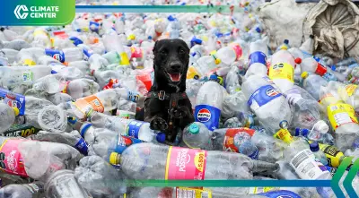 เปิด 20 ข้อเท็จริงที่อาจเขย่าความเชื่อเรื่องการรีไซเคิล