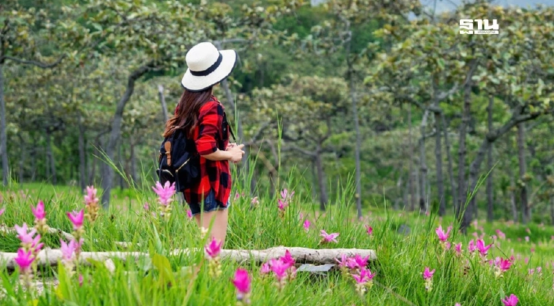 หยุดยาววันเฉลิมพระชนมพรรษา คนไทยเที่ยวในประเทศลดลง หาที่เที่ยวต่างประเทศพุ่ง หยุดยาววันเฉลิมพระชนมพรรษา คนไทยเที่ยวในประเทศลดลง หาที่เที่ยวต่างประเทศพุ่ง