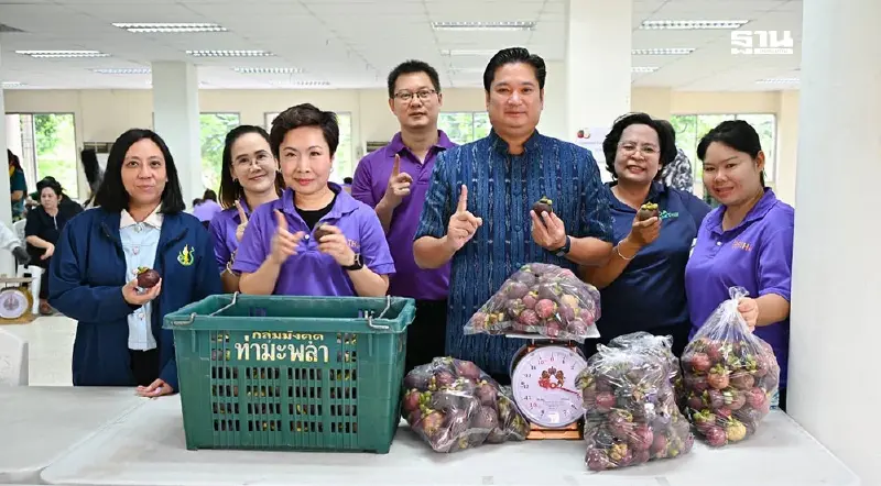 อธิบดีกรมวิชาการเกษตร รับซื้อมังคุดแปลงใหญ่ 9 ตัน ช่วยเกษตรกร