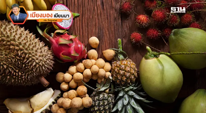 โอกาสของผลไม้ไทยในตลาดมาเลเซีย รสชาติที่เยี่ยม...โอกาสที่ใช่! โอกาสของผลไม้ไทยในตลาดมาเลเซีย รสชาติที่เยี่ยม...โอกาสที่ใช่!
