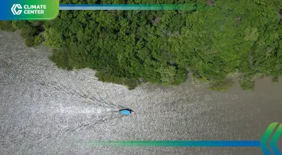 ตลาดคาร์บอนเพิ่มเงินทุน 4.9 แสนล้านดอลลาร์ ช่วยชาติเปราะบางสู้โลกร้อน