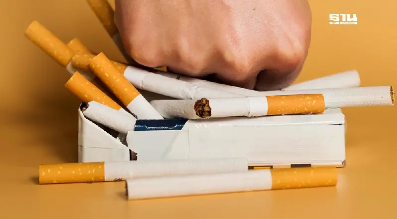 สมาคมยาสูบฯ จี้รัฐเร่งปราบ “บุหรี่เถื่อน” พบเกลื่อนตลาดจนวิกฤติ