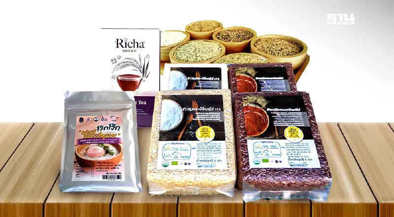 กรมการข้าว ถอดรหัสความสำเร็จ “แปลงใหญ่”ต่อยอดข้าวมูลค่าสูง